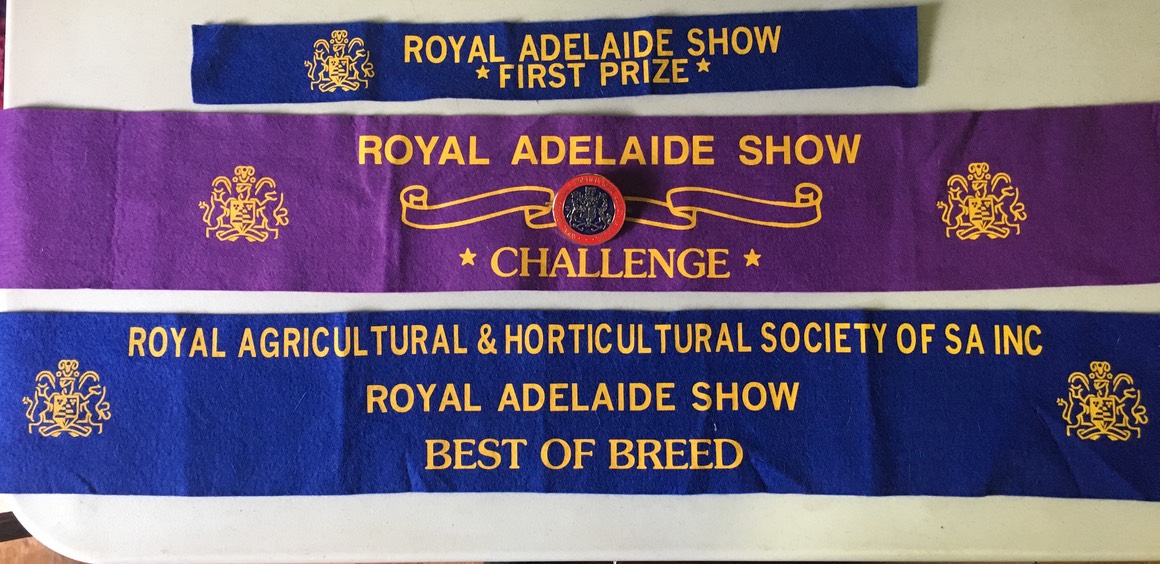 morgan adelaide royal bob ribbons 2018.JPEG